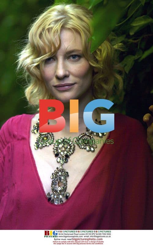 Ariana Grande Performs at Lollapalooza