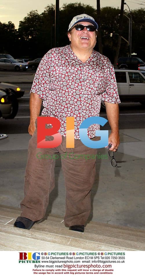 Pop star on red carpet at film premiere