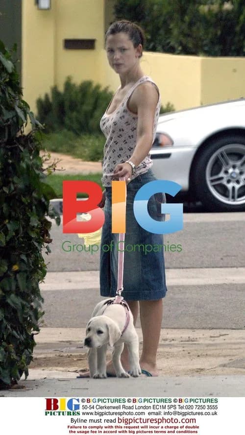 Jennifer Garner walks puppy in Santa Monica