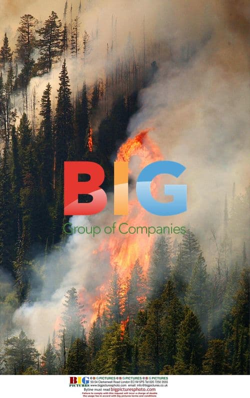 Wildfire in Polebridge, MT