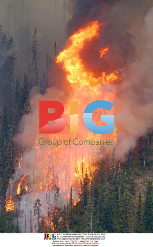 Wedge Canyon Fire in Polebridge, MT