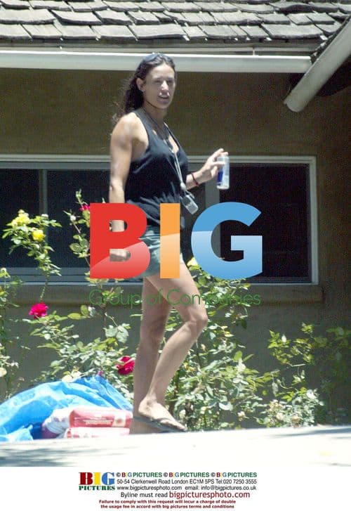 Demi Moore and Ashton Kutcher Remodeling House