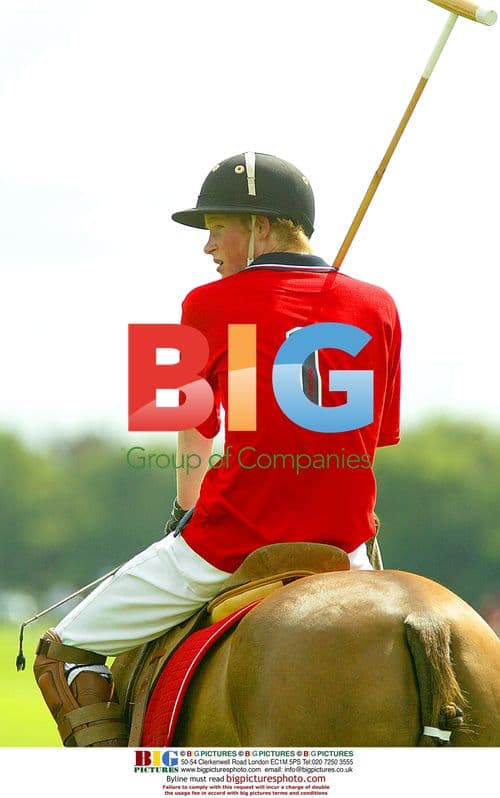 Prince Harry at Cartier National Day