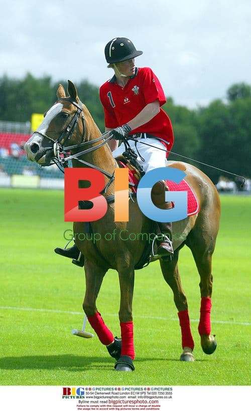 Prince Harry at Cartier National Day