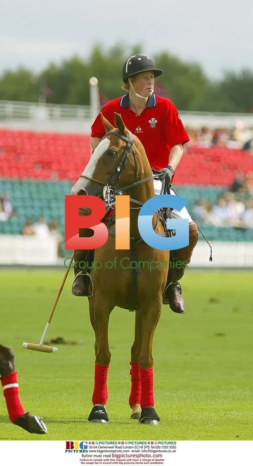 HRH Prince Harry at Cartier National Day
