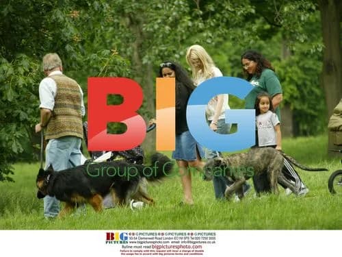 Claudia Schiffer in London Park with Dog