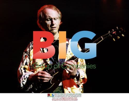 Robbie Krieger of The Doors Onstage