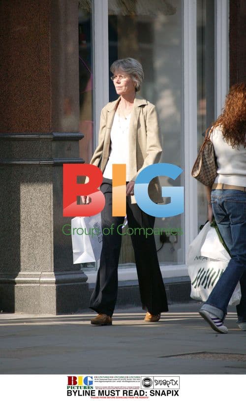 The Smashing Pumpkins at the 2023 Grammy Awards