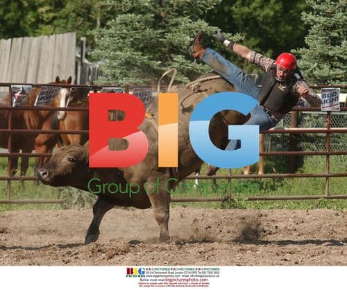 Cowboy Thrown from Bull at Rodeo