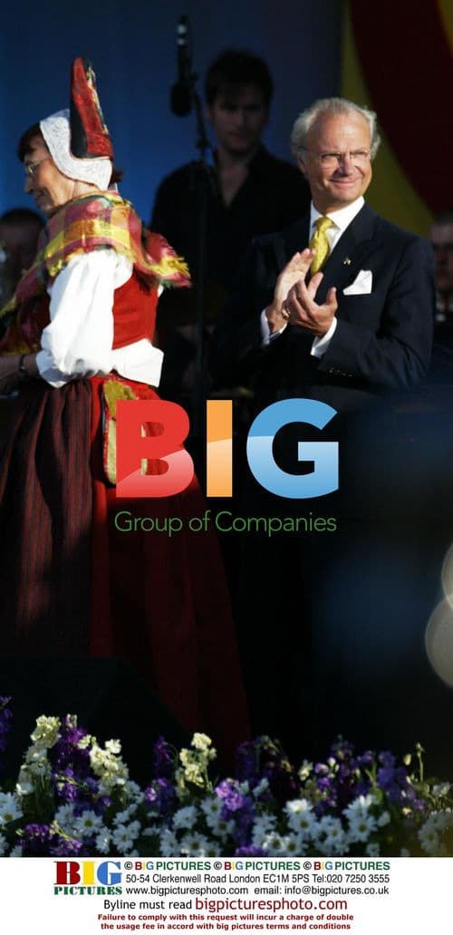 King Carl Gustaf at Swedish National Day