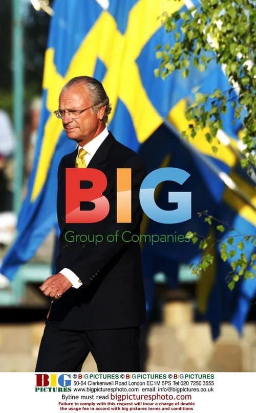 King Carl Gustaf at Swedish National Day