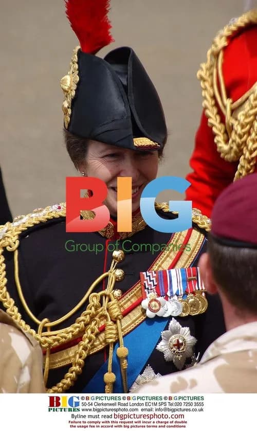 The Queen Presents New Standards and Guidons