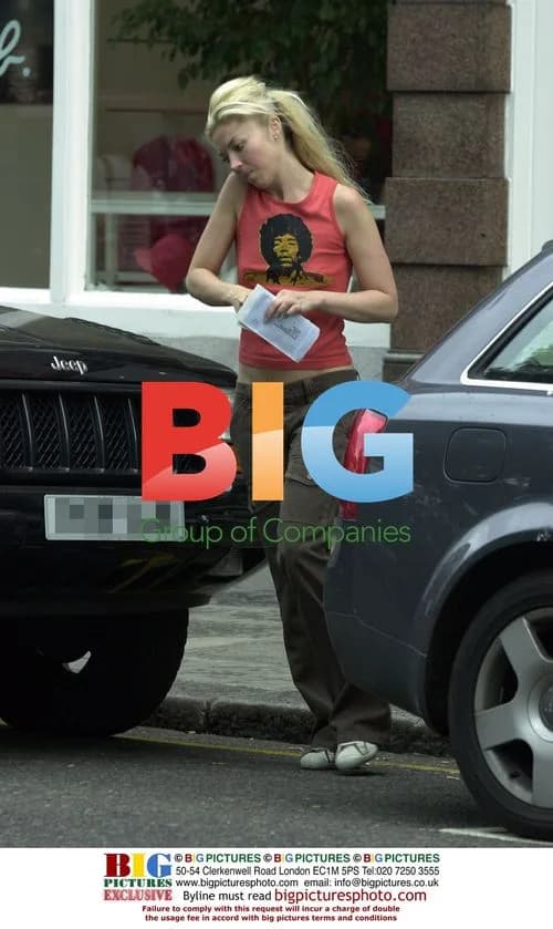Tamara Beckwith gets parking ticket