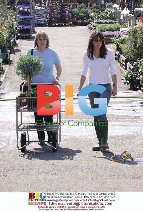 Amanda Seyfried Arrives at Film Premiere