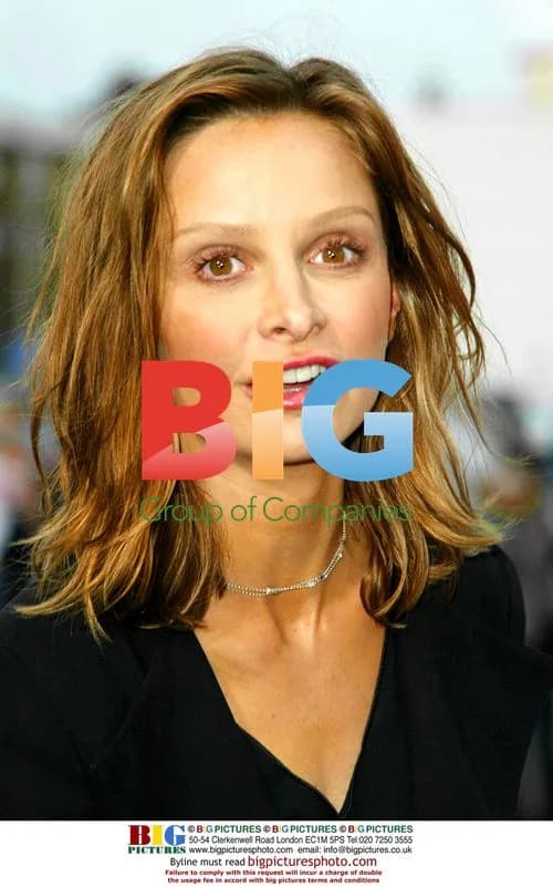 Calista Flockhart at 'Hollywood Homicide' Premiere