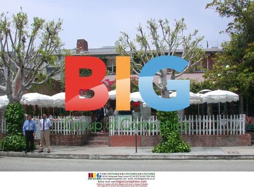 Celebrities at The Ivy in Beverly Hills