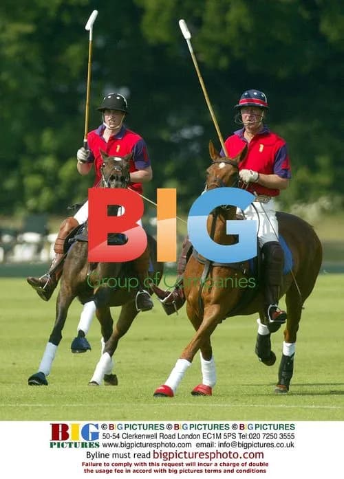 Prince William and Charles at Charity Polo Match