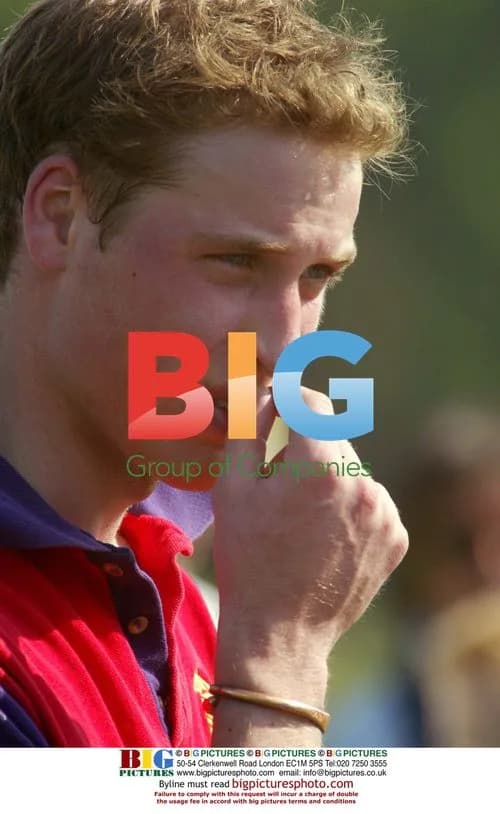 Prince Wiliam playing charity polo
