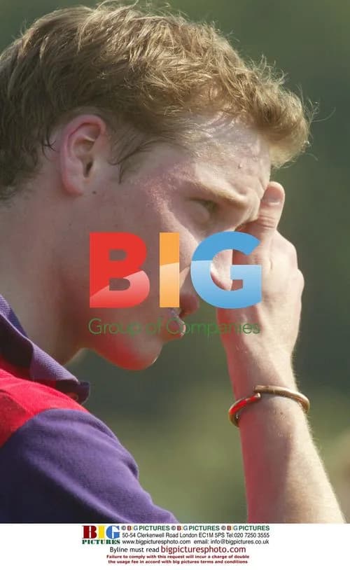 Prince William playing Polo