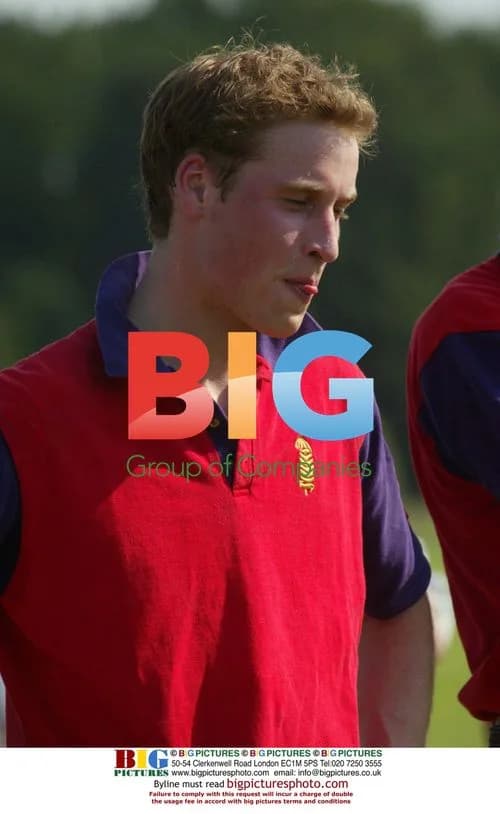 Prince William at Polo Match