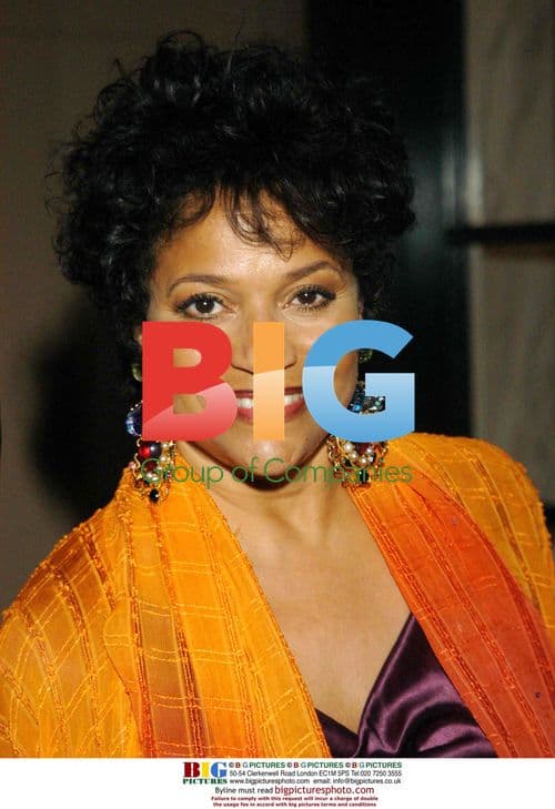 Debbie Allen at Awards Presentation