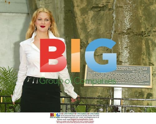 Drew Barrymore dedicates fountain at Grauman's Chinese Theatre