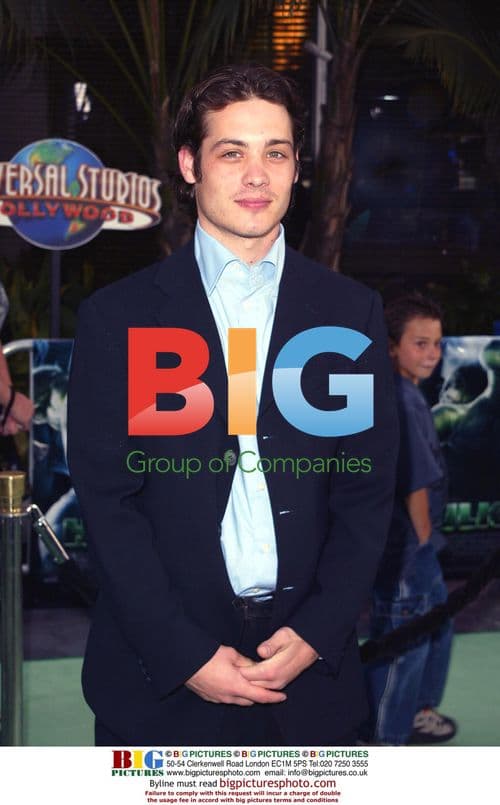 Mike Erwin at The Hulk Premiere