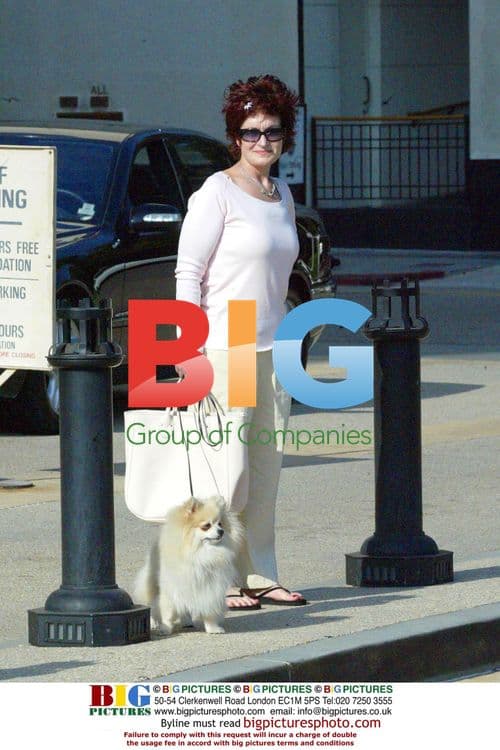 Sharon Osborne Shopping with Dog FiFi