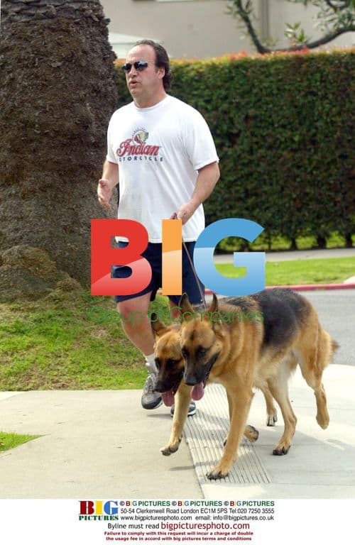 James Belushi with dogs in Santa Monica