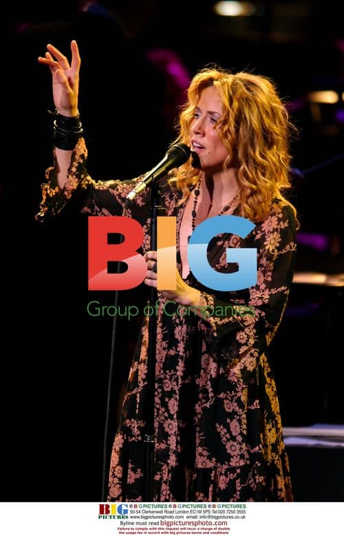 Sheryl Crow at Stormy Weather Benefit Concert