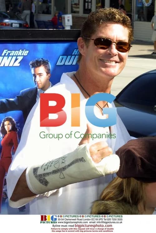 David Hasselhoff at 'Agent Cody Banks' Premiere