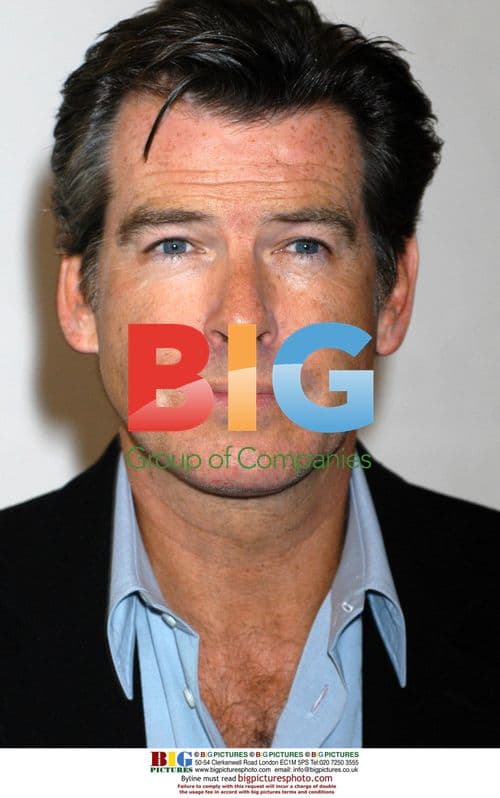 Pierce Brosnan at "Evelyn" Photocall