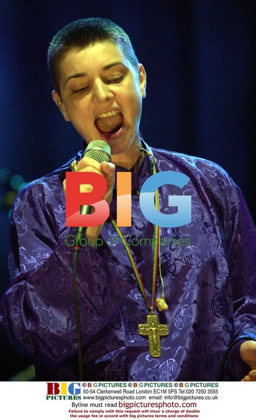 Elona Zevon and Jack Johnson at Studio Premiere