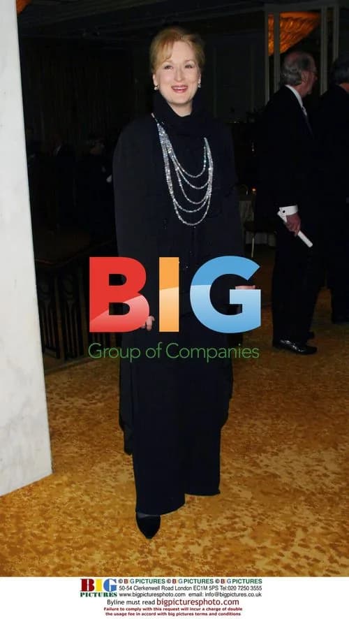Meryl Streep at 'Excellence in Costume Design' Awards
