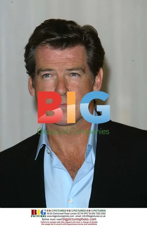 Pierce Brosnan Photocall for 'Evelyn'