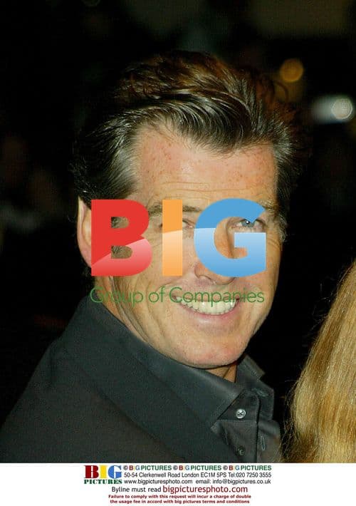 Pierce Brosnan Arrives at 'Evelyn' Premiere
