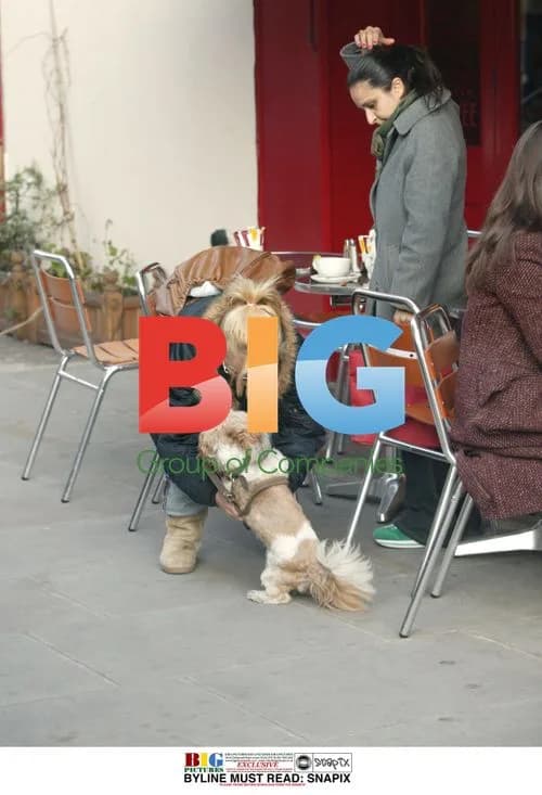 Geri Halliwell and dog Harry out in West London