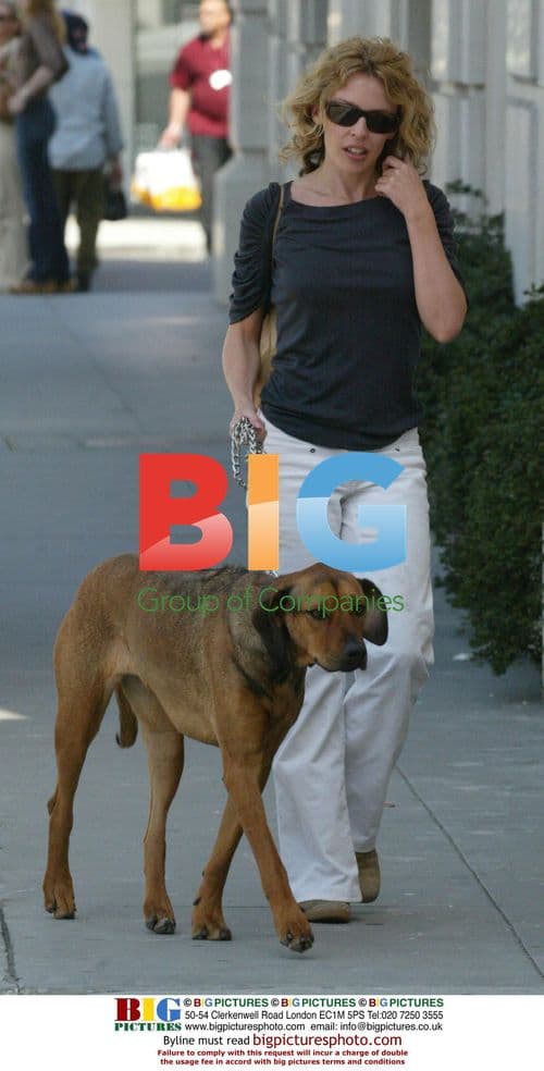 Kylie Minogue and Olivier Martinez have romantic lunch