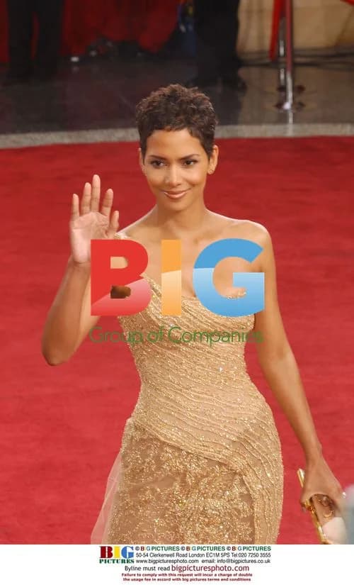 Halle Berry at 75th Oscars