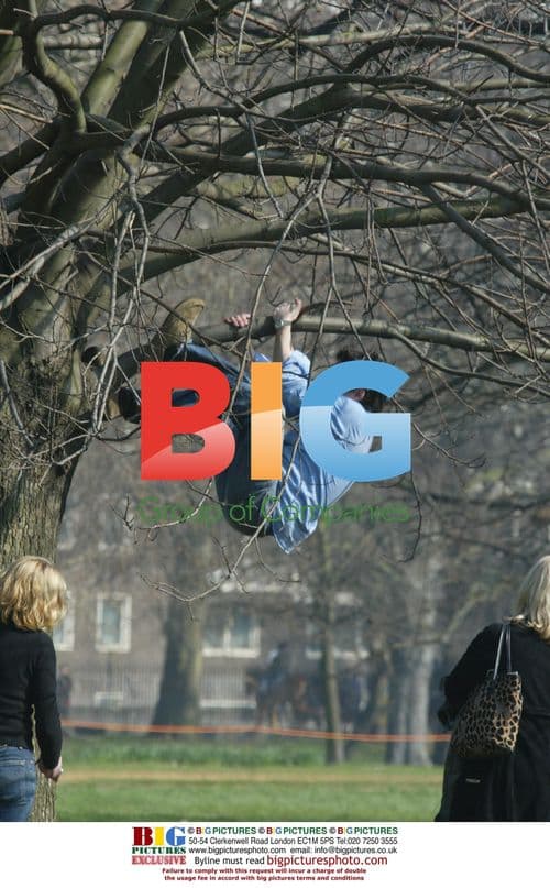 Alastair Mackenzie Charms Fans in Hyde Park