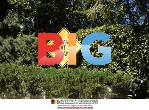 TORRIE WILSON Playboy Cover Shoot