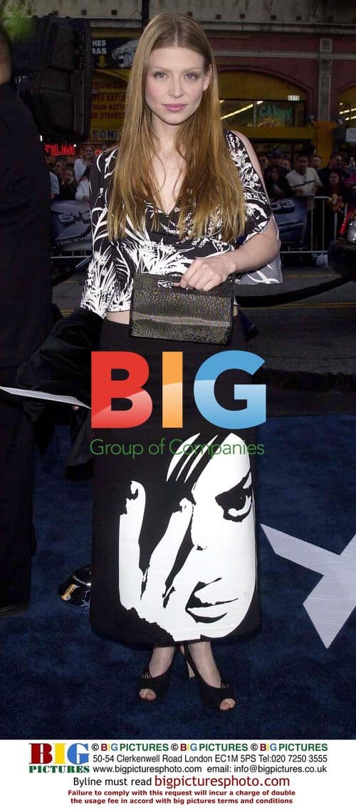 2023 Celebrity Wedding