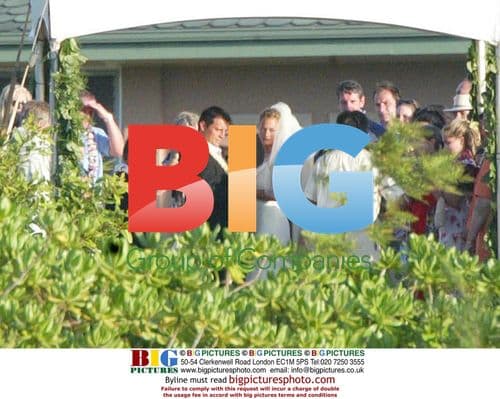 Matt Leblanc and Melissa McKnight's Hawaii Wedding