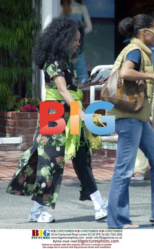 Diana Ross Shopping in Santa Monica