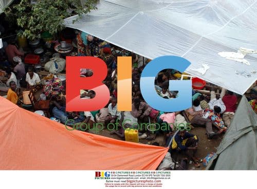 Lily Collins at London Film Festival
