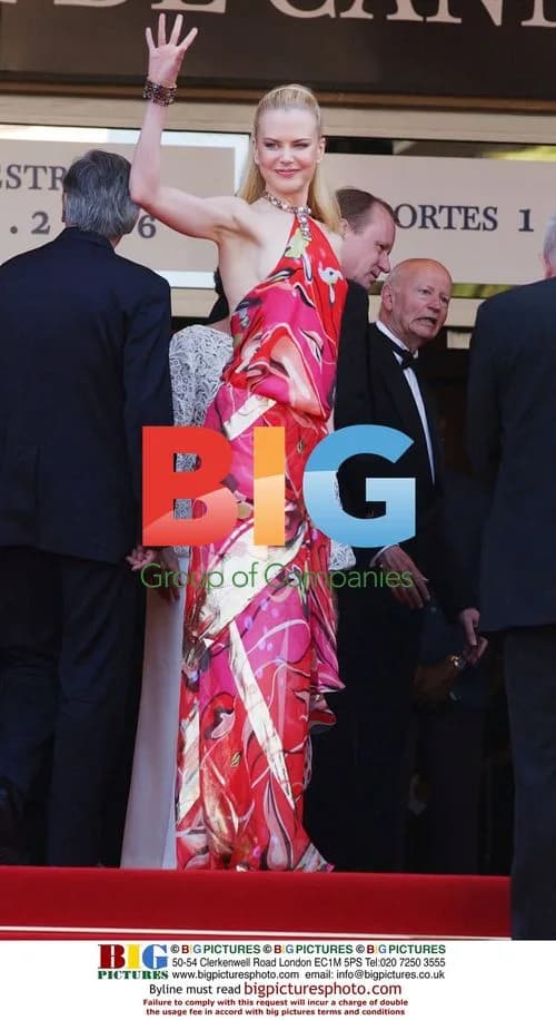 Nicole Kidman at 'Dogville' Premiere in Cannes