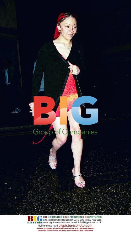 Shawn Mendes Performing on Stage