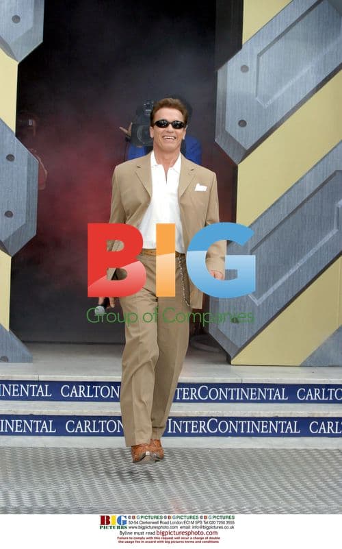 Arnold Schwarzenegger at Cannes Film Festival