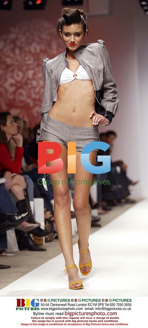 Celebs Arrive at Festival