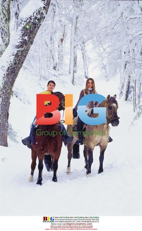 Gabriela Bundchen with Boyfriend in Chile